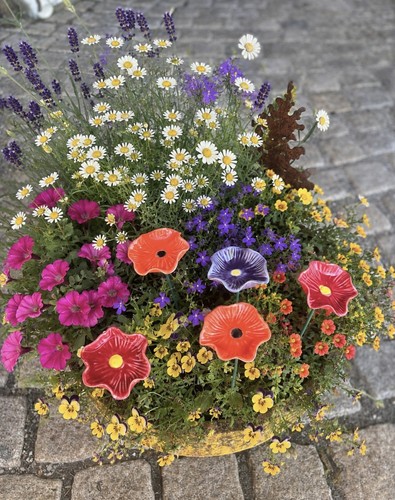 Set ciotole per api - set, 6